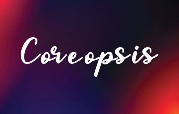 Coreopsis: A Handwritten Typeface for Editorial Design