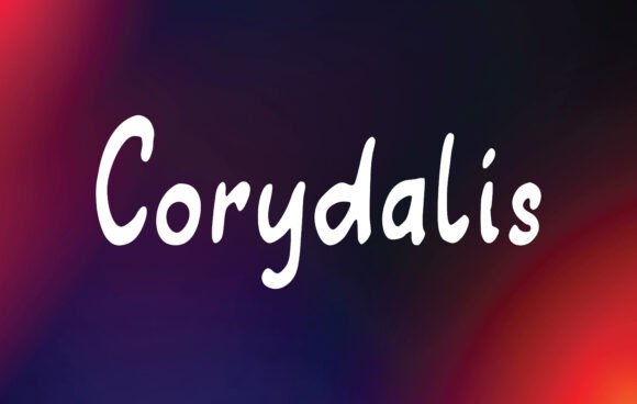 Corydalis: The Handwritten Font That Elevates Small Business Branding