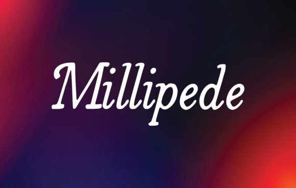 Millipede: The Handwritten Font for Scroll-Stopping Brand Identity